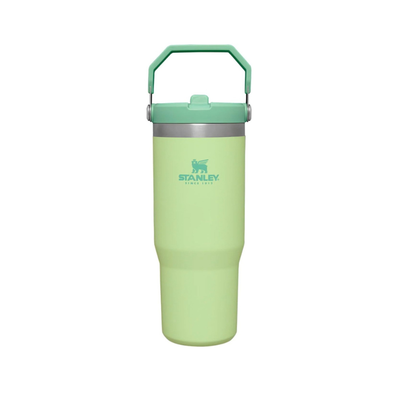 Stanley 30 oz Flip Straw Tumbler